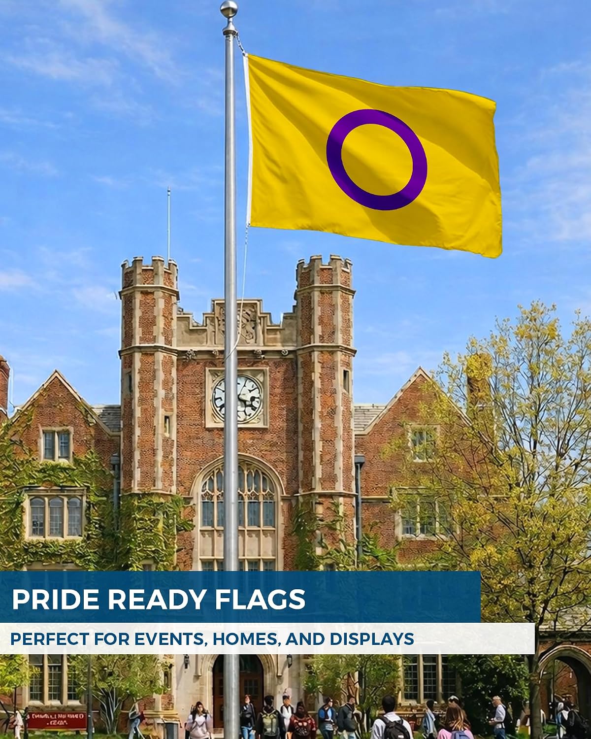 AGAS Intersex Pride Flag LGBTQ Pride 6x10 Ft - Double Sided 1 Ply 200D Nylon Brass Grommets Stitched Edges 100% Bleed Through Fade Resistant Indoor Outdoor