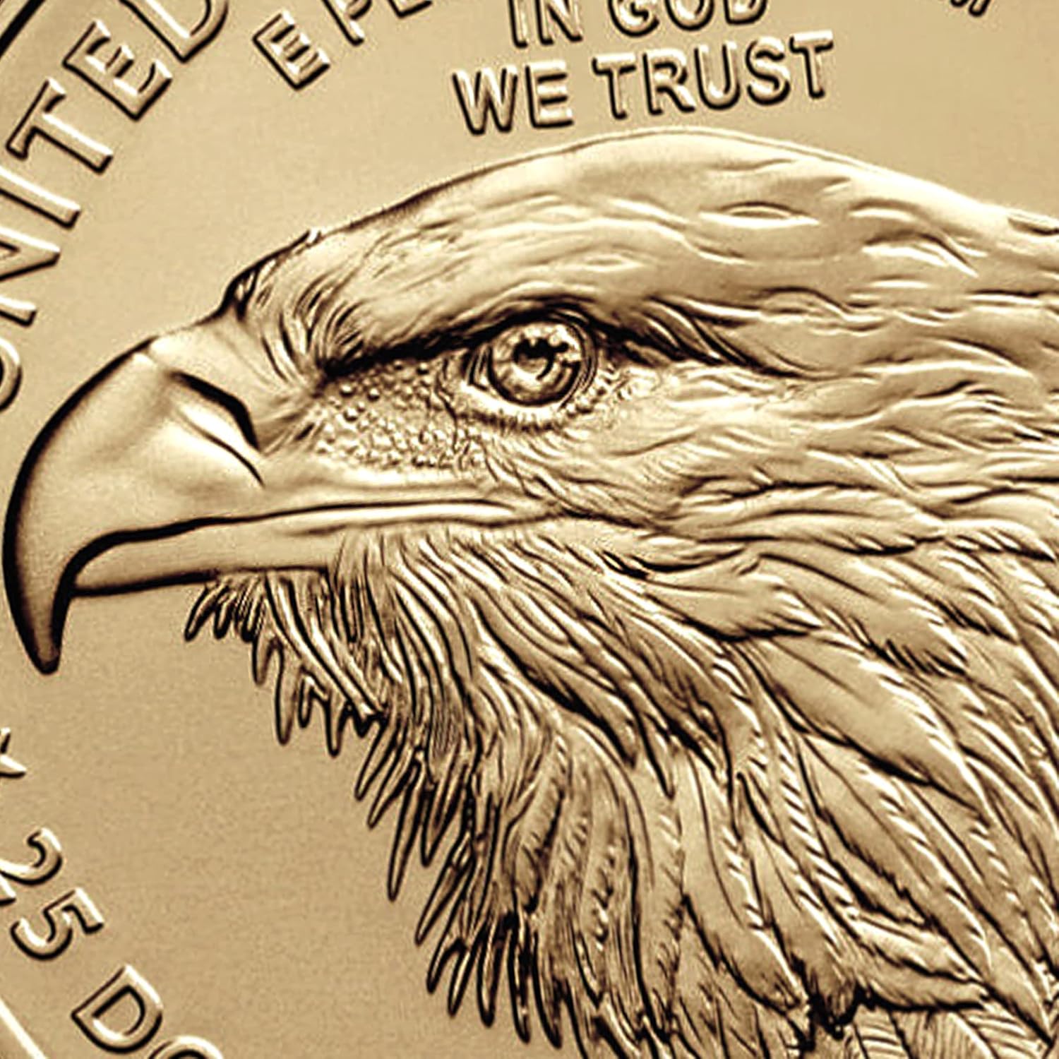 2025 1/10 oz American Gold Eagle Coin Brilliant Uncirculated with a Certificate of Authenticity $5 BU
