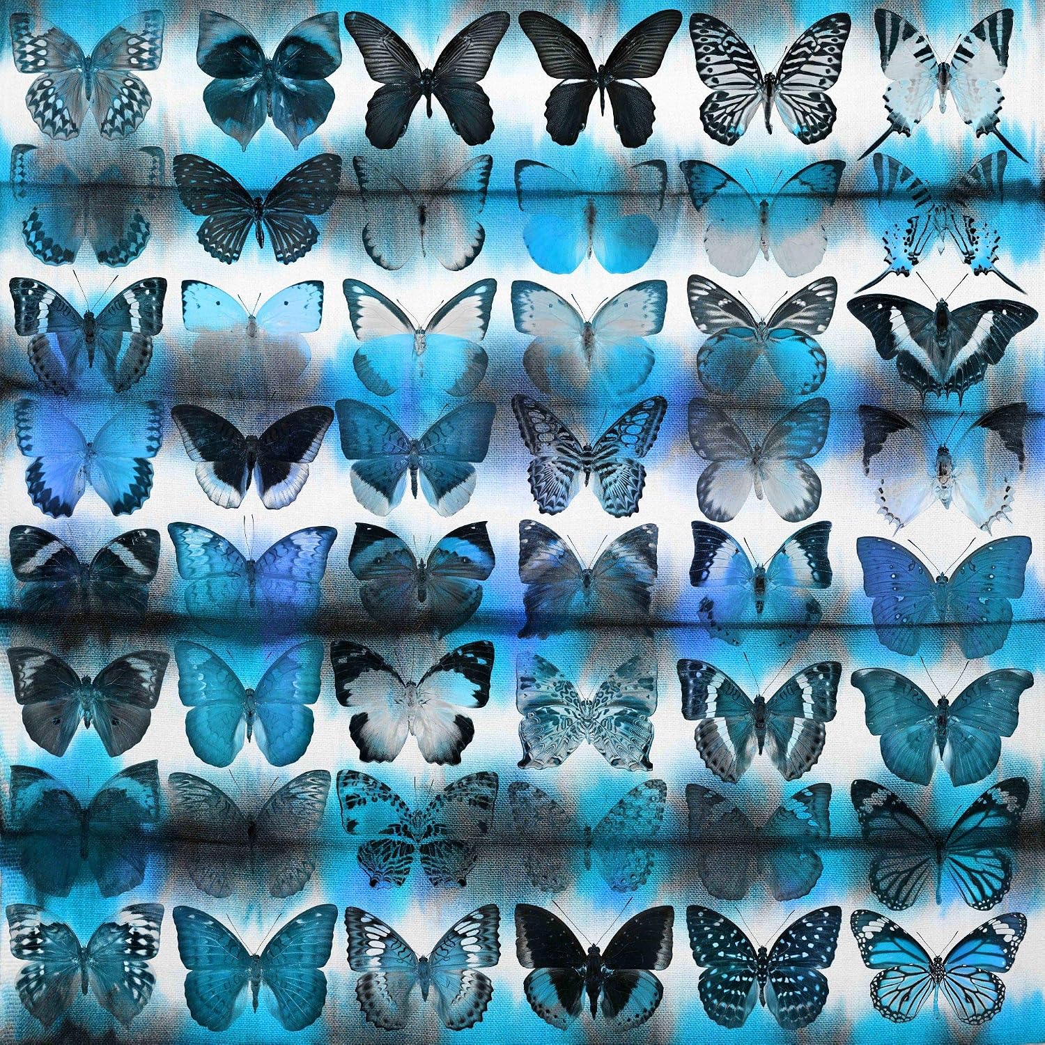 Parvez Taj Moth Blue Painting Print on Wrapped Canvas -
